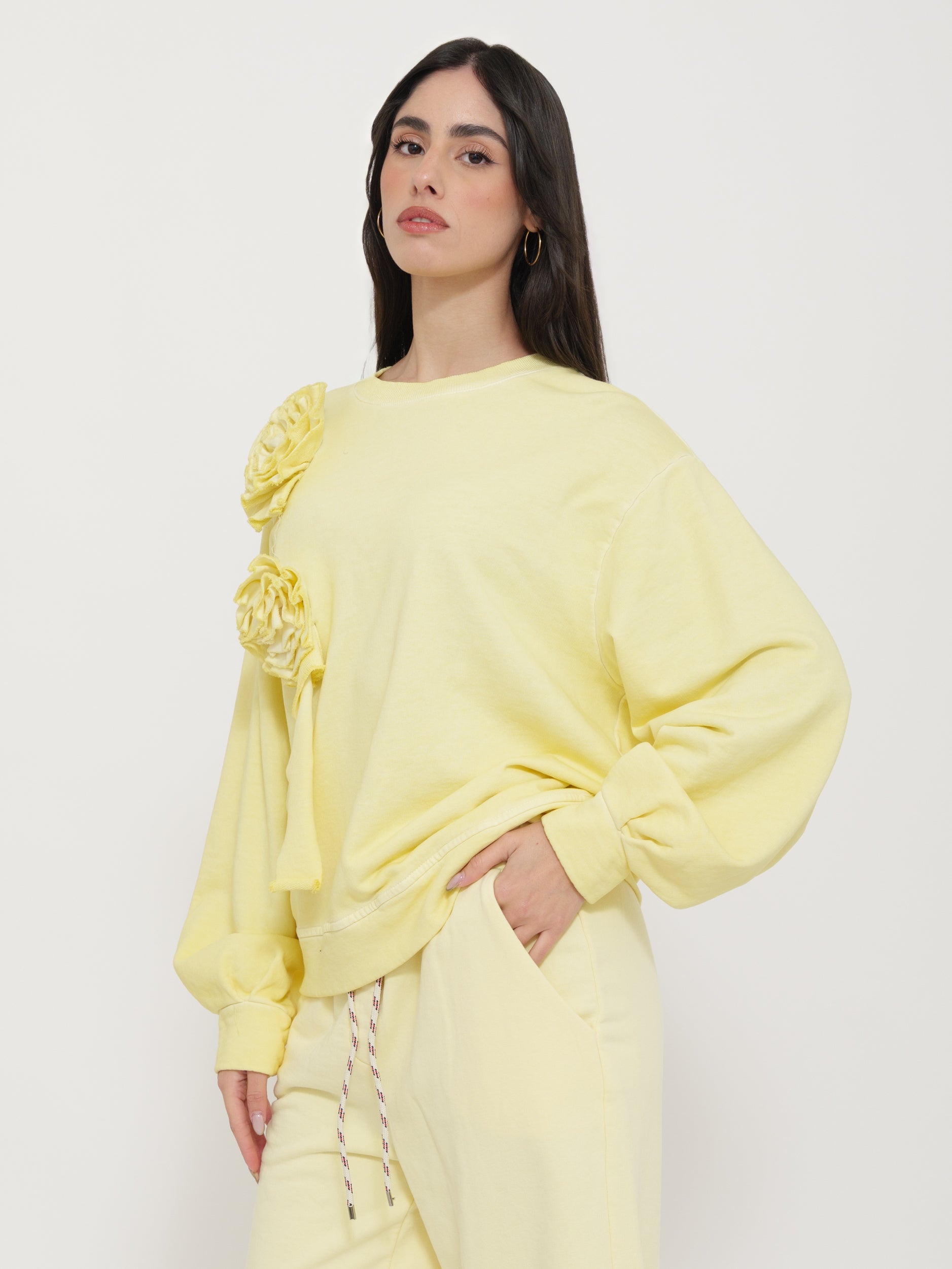 Felpa regular con fiocchi applicati