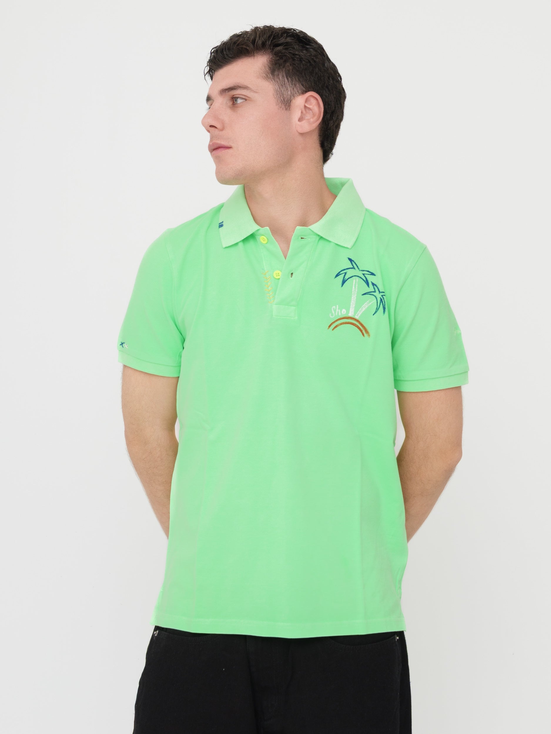 SHOCKLY - T- shirt polo verde
